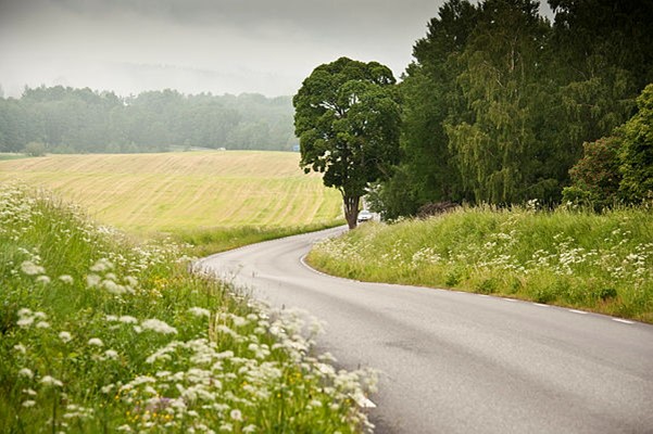 bransch.trafikverket.se