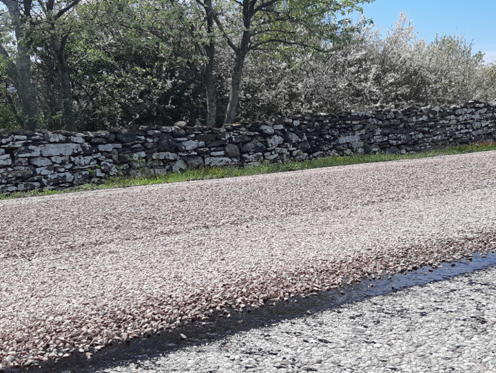 Bilden visar en väg med grus på.