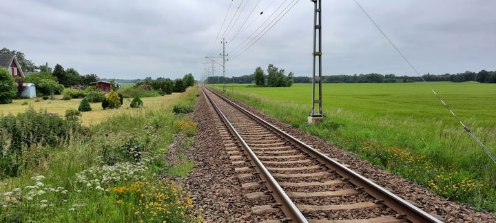 Järnvägsspår längs med gröna fält.