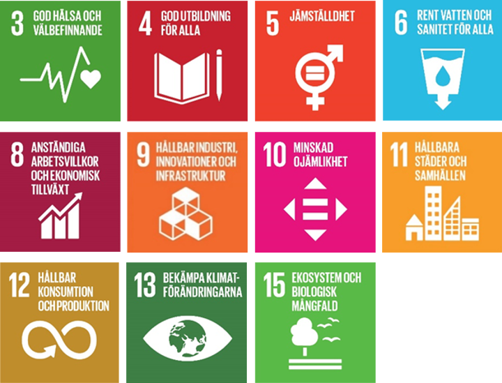 Färgglada rutor som visar de elva globala mål som projektet siktar på att uppnå.