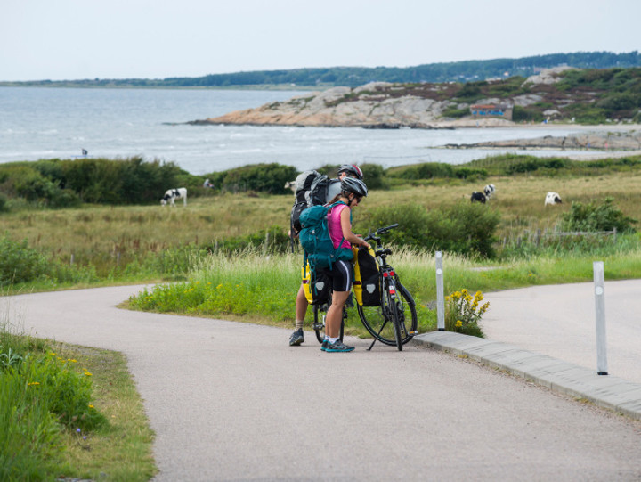 Exempel på bild som antingen kan behöva alt-text eller inte. Två cyklister har stannat på en cykkelled. I bakgrunden syns betande kor, hav och klippor.