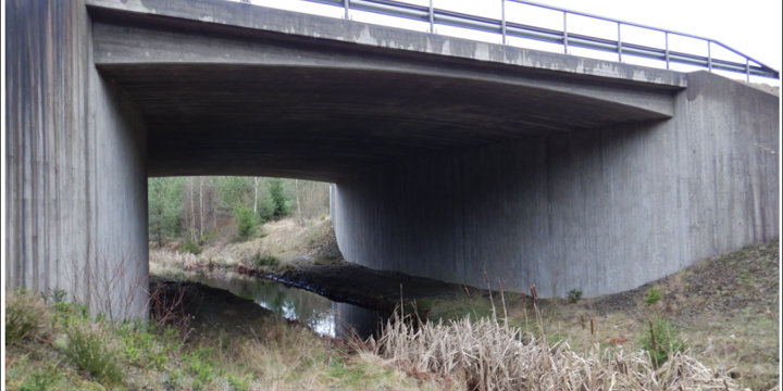 Exempel på viltport med en passage under vägen. En mindre bäck rinner under porten. Marken är täckt av brun och lite grön vegetation.