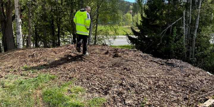 En varselklädd person står i det område som avverkats och behandlats med het ånga. Lite grönt gräs, granar och björkar runt området och en väg som skymtar mellan träden.