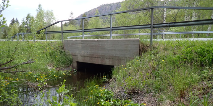 bro över minder bäck i Omne
