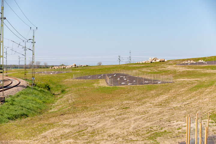 Bild som visar Kattarps Fjärilsbackar. En kuperad gräsyta med faunadepåer och blå himmel.