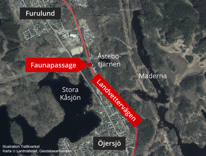 Karta som visar att faunapassagen är placerad mellan Furulund och Öjersjö i höjd med Stora Kåsjön och Åstebotjärn (vid Maderna).