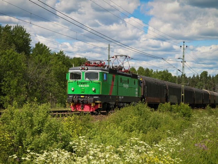 Godståg passerar en grön skog och blommande dike. 