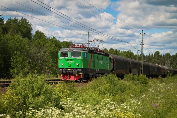 Godståg passerar en grön skog och blommande dike. 